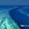 Bantu lindungi Great Barrier Reef, Dell luncurkan sistem AI baru  