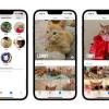 iOS 17 bisa tandai hewan peliharaan dalam foto, begini caranya
