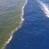 Apakah air laut di Samudra Atlantik dan Pasifik bercampur? Ini penjelasannya