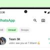 WhatsApp hadirkan fitur untuk membantu pengguna temukan pesan yang belum dibaca