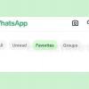 WhatsApp kembangkan fitur "Favorit" pada tab obrolan untuk pengguna Android dan iOS