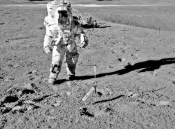 Astronot Artemis akan bawa tanaman ke bulan pada 2026