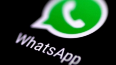 Resmi, WhatsApp hapus GIF berkonten dewasa di aplikasinya