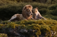 Caption Instagram kece dari The Lion King