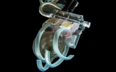 Ilmuwan ciptakan robot penangkap ubur-ubur