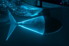 Ilmuwan kembangkan robot tuna dengan tendon yang dapat diprogram
