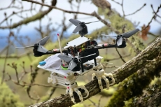 Terinspirasi dari elang, drone ini bisa hinggap di pohon