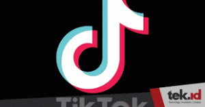 TikTok luncurkan profil khusus untuk musisi