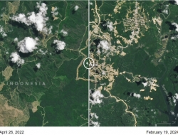 NASA rilis perubahan signifikan di kawasan Ibu Kota Nusantara (IKN)