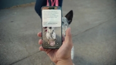 Apple tantang Google Lens dengan Visual Intelligence