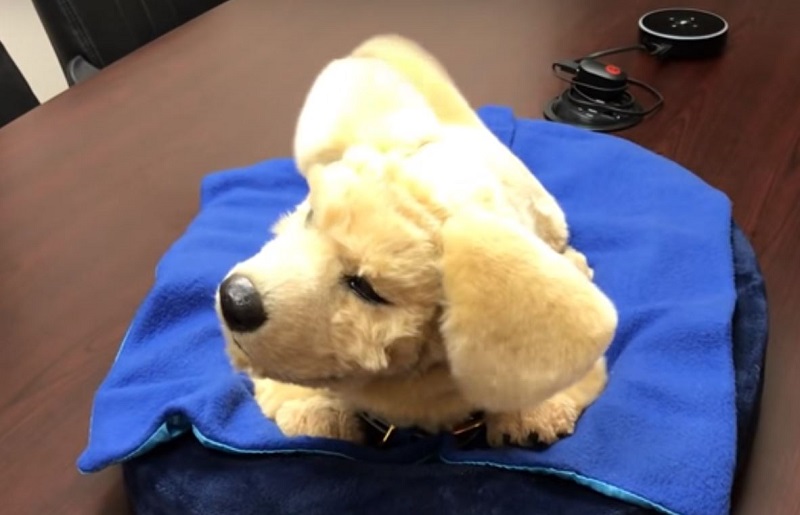 Tombot hadirkan robot anjing jenis Golden Labrador