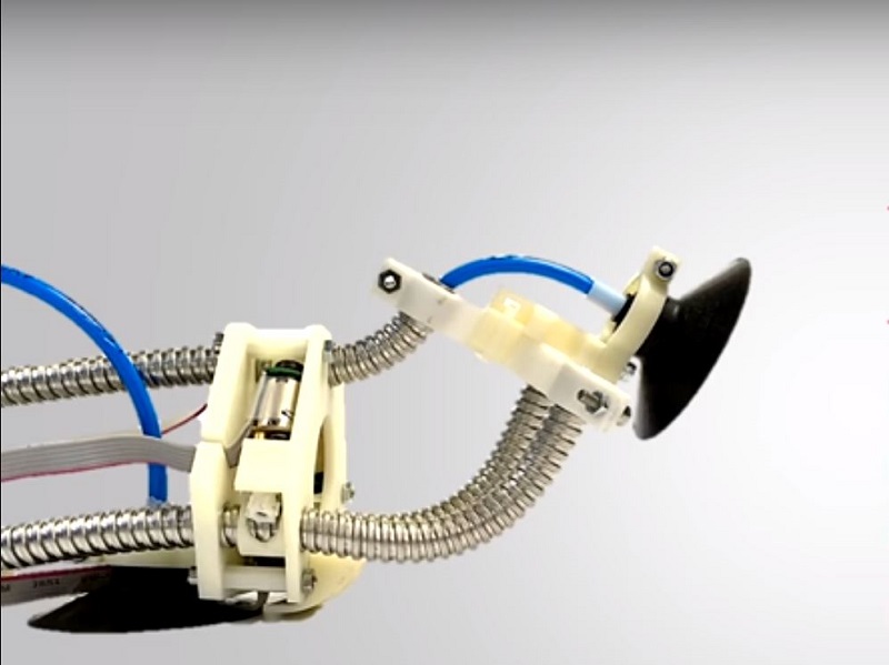 Fleksibel dan bisa panjat dinding, robot ini terinspirasi dari lintah