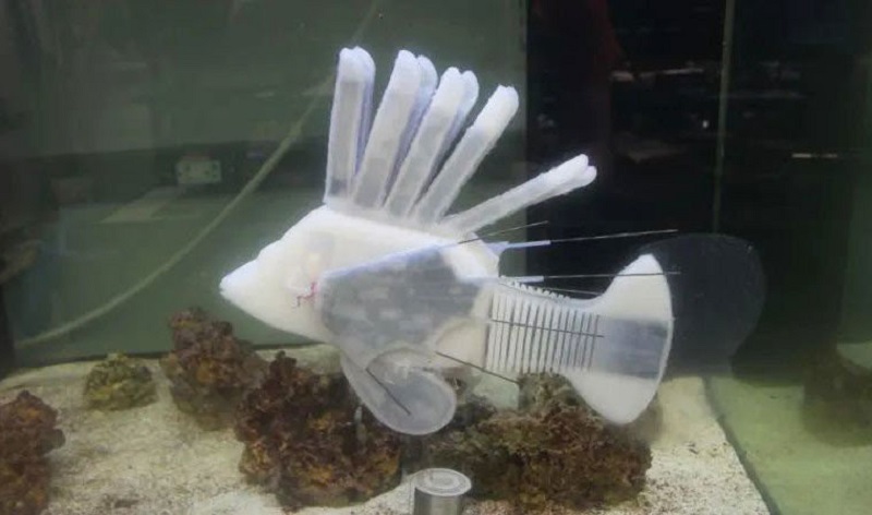 Robot ikan bergerak lebih alami berkat teknologi darah tiruan