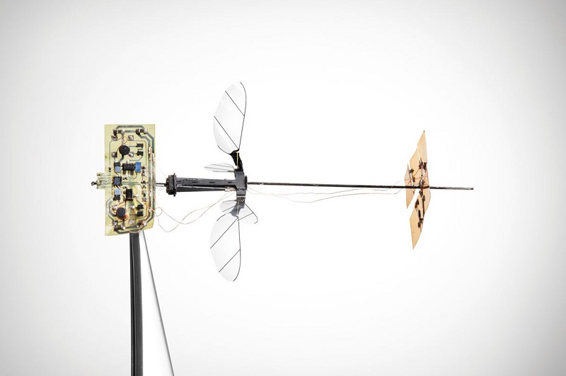 Lebah robot Harvad bisa terbang sendiri berkat panel surya
