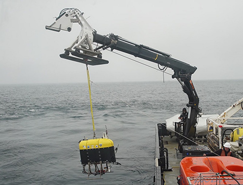 Peneliti kembangkan robot bawah air dengan integrasi komputer