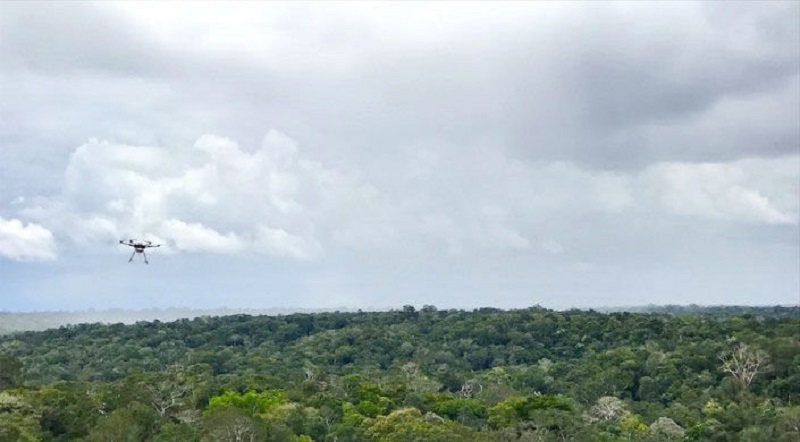 Peneliti andalkan drone untuk pelajari hutan Amazon