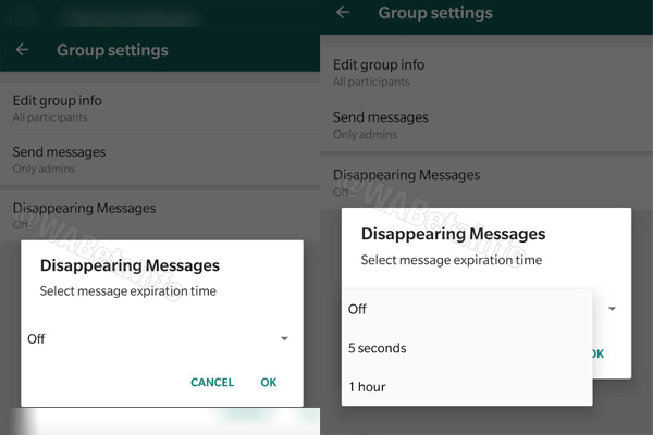 WhatsApp kerjakan fitur pesan yang dapat menghilang