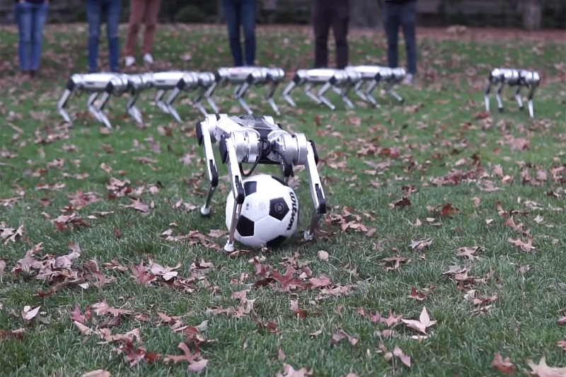 Robot Mini Cheetah MIT bisa main bola