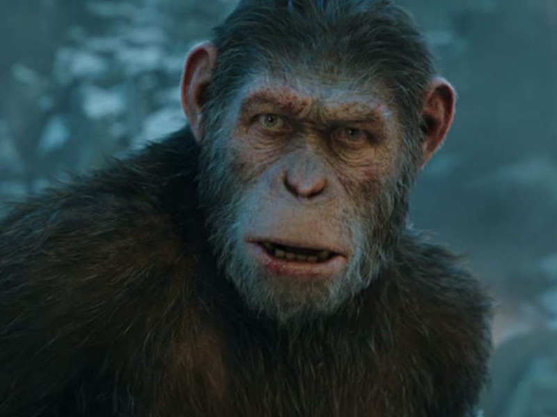 Wes Ball sutradarai reboot terbaru Planet of the Apes