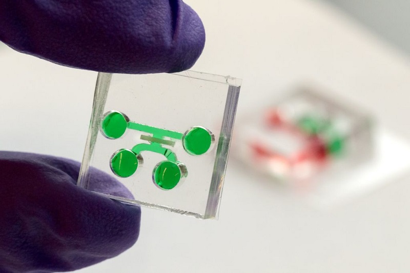 Ilmuwan berhasil terapkan chip yang terintegrasi gigi