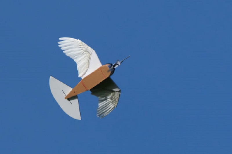 Ilmuwan ciptakan drone mirip burung