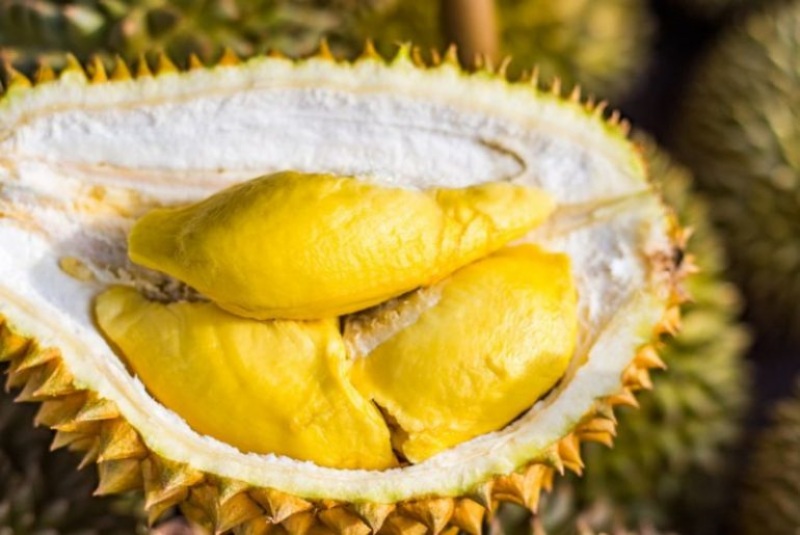 Ternyata Durian bisa jadi kunci teknologi fast charging