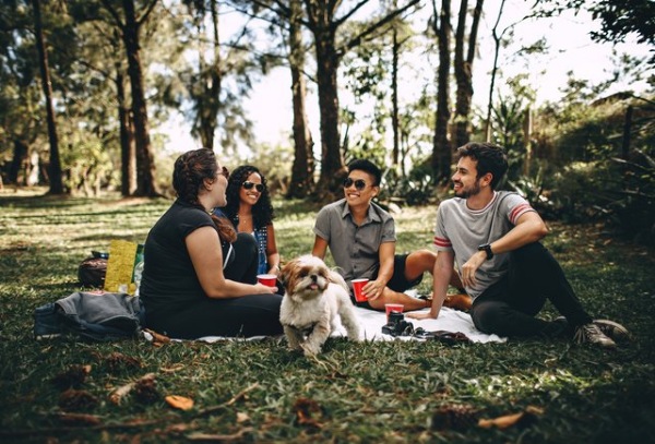 Caption Instagram kece untuk piknik