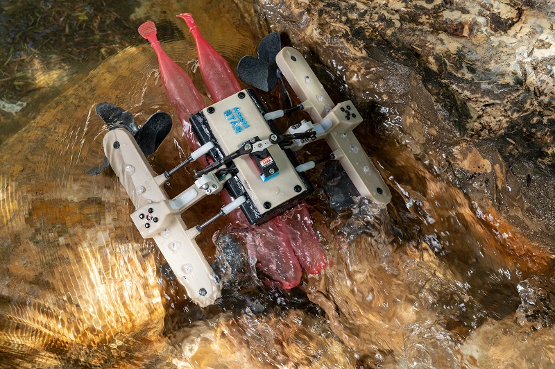 Ilmuwan berhasil ciptakan robot kadal amfibi