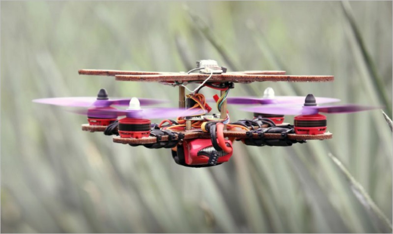 Peneliti Malaysia ciptakan kerangka drone dari daun nanas