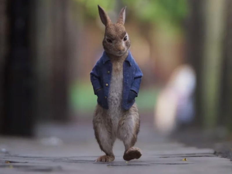 Cuplikan Peter Rabbit 2: The Runaway bikin penasaran