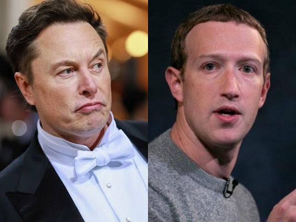 Gara-gara netizen, Elon Musk tantang Mark Zuckerberg bertarung