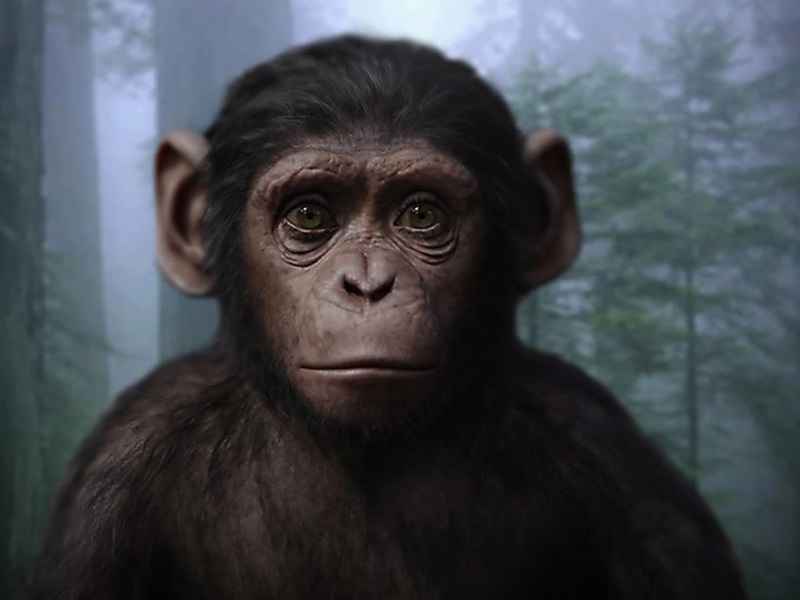 5 hal yang ada dalam trailer Kingdom Of The Planet Of The Apes