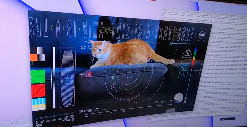 NASA tayangkan video kucing kembali ke Bumi dari luar angkasa