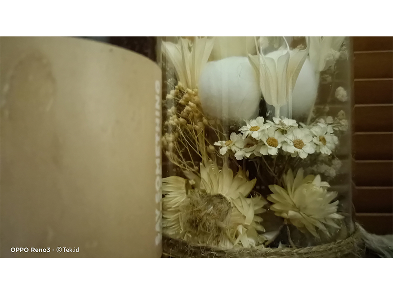 Hasil foto objek bunga kering yang dlingkari pada gambar di atas mengunakan Oppo Reno3 