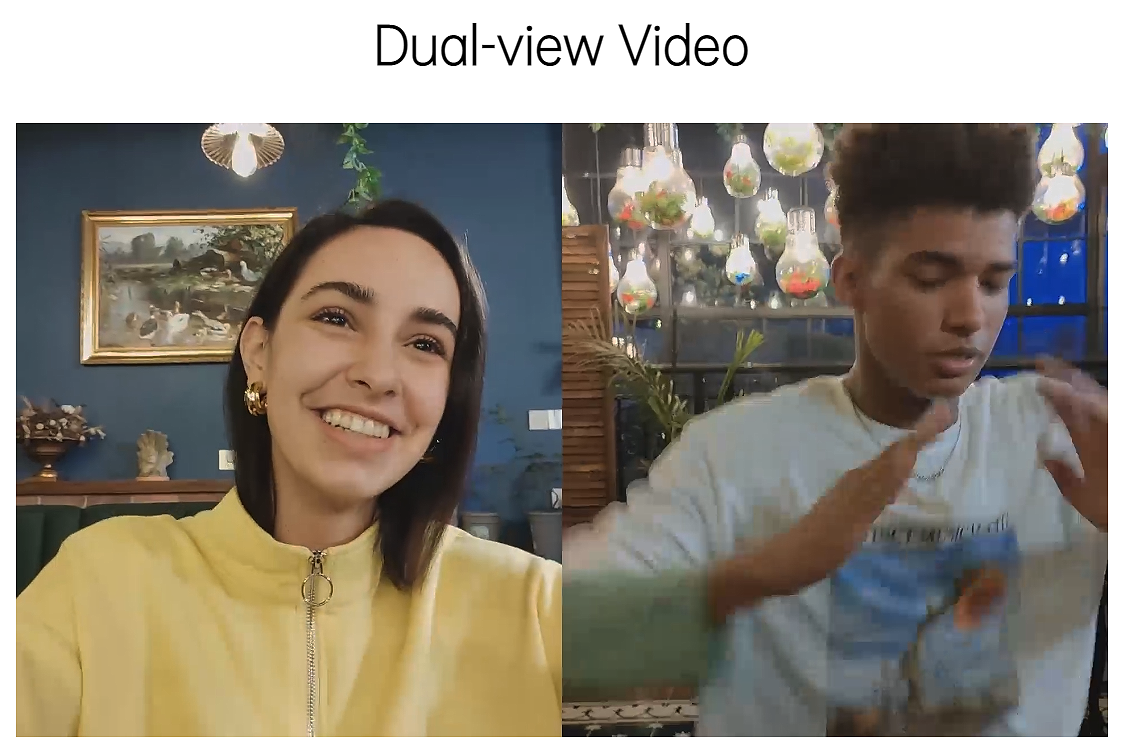 Dual-view