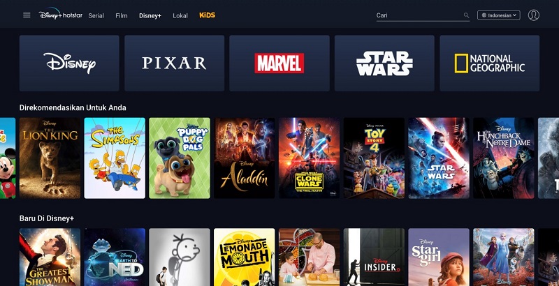 Perbedaan Disney Plus Hotstar dan Netflix