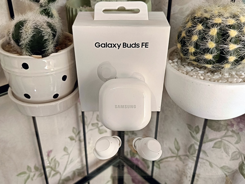 Samsung buds fe купить. Чехол на Galaxy Buds Fe Панда. Galaxy Buds Fe.