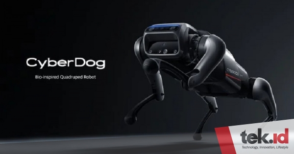 The Xiaomi CyberDog robot sold for Rp22 million