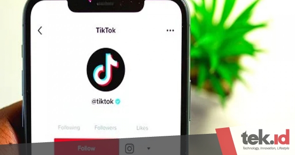 TikTok luncurkan tombol Dislike untuk semua pengguna