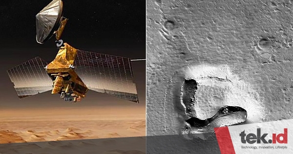 Beruang ini tertangkap kamera di permukaan Mars