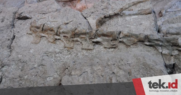 Scientists have discovered dinosaur fossils with inexperienced bones